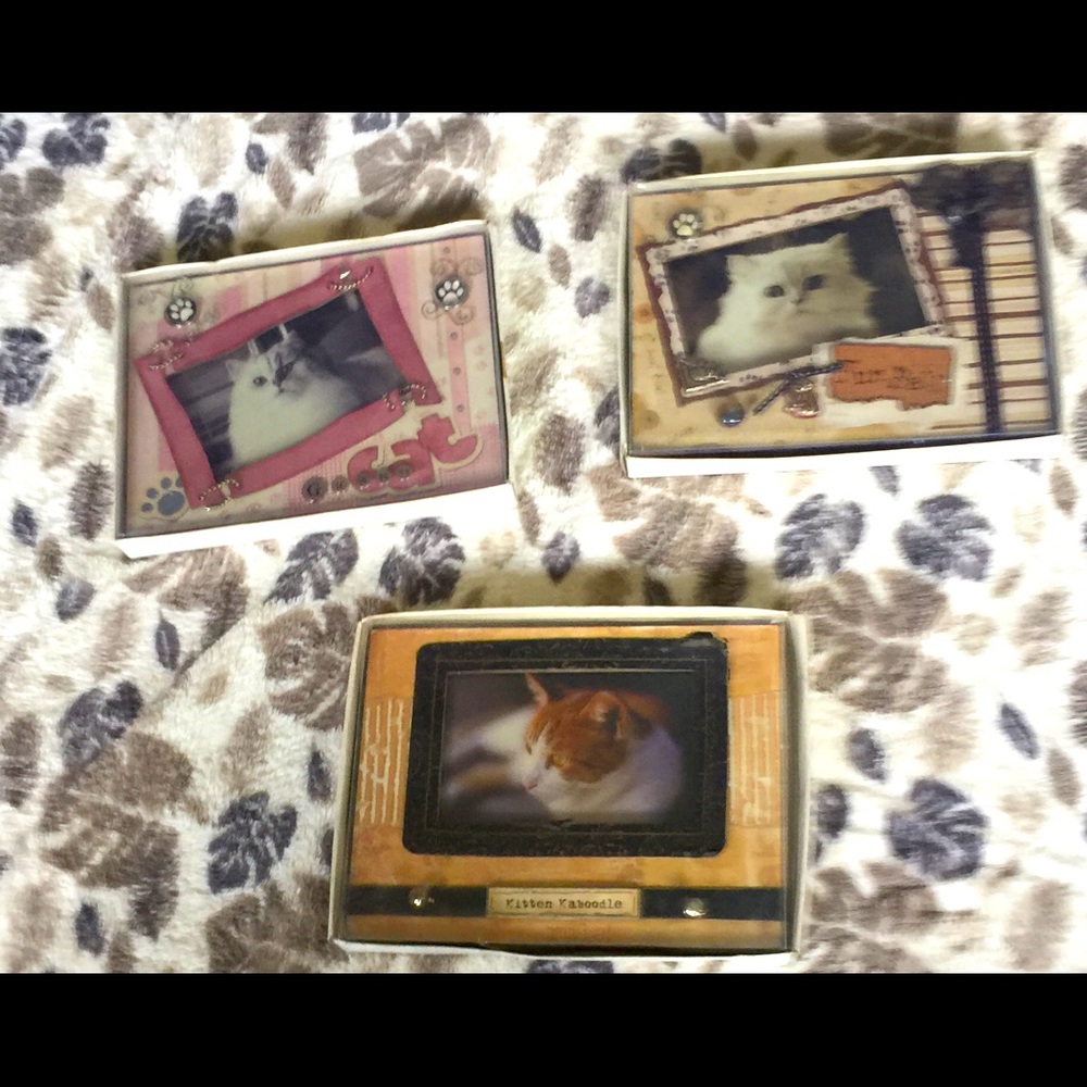 3 Cute Cat frames size 4 by 6